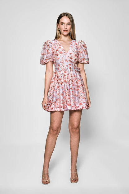 Anselma Short Dress